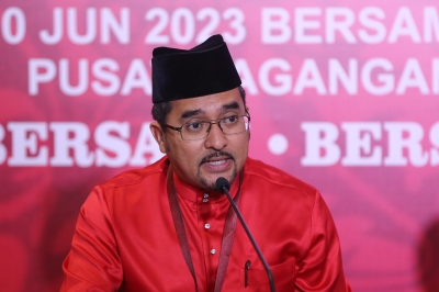 Ahead of govt’s first anniversary, Umno vows its MPs and state assemblymen will remain behind PM Anwar
