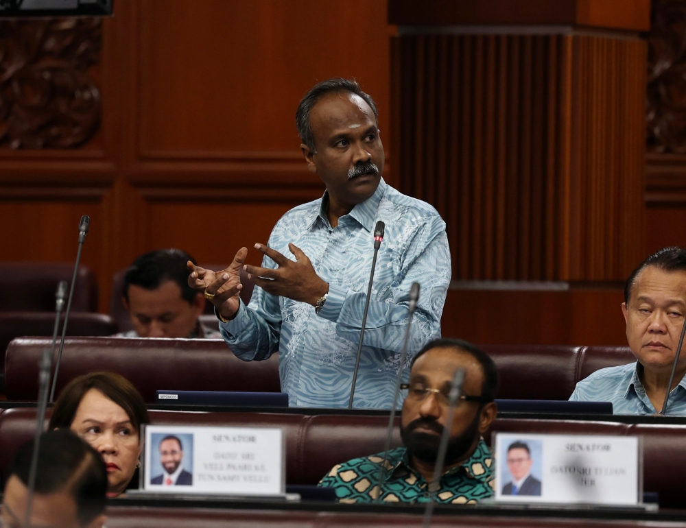 Human Resources Minister V. Sivakumar said these efforts are a strategic investment that will empower talents and organisations to not only navigate but also thrive within the changing economic and technological landscape. — Bernama pic 