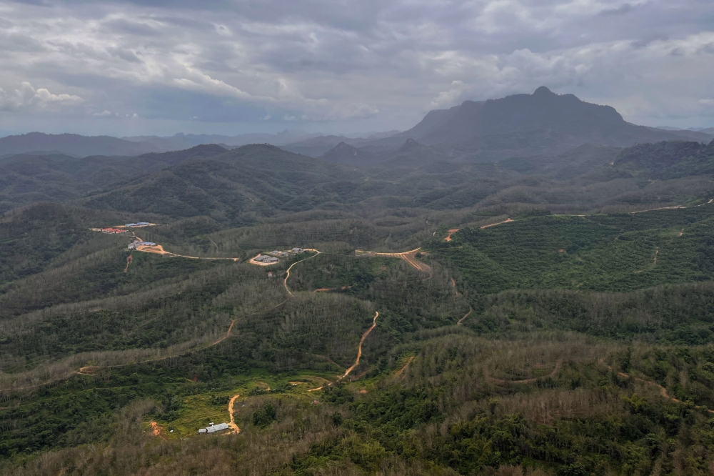 JKOAK chairman Mustafa Along said logging activities, the establishment of farms and the construction of the Nenggiri Hydroelectric Power Plant have led to widespread deforestation and encroached on animal habitats, forcing the wildlife like tigers, bears and elephants to enter the nearby villages in Hulu Kelantan to search for food. — Bernama file pic