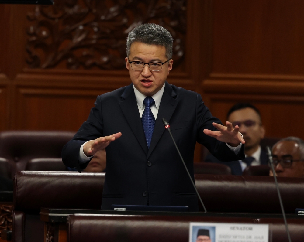 Deputy Investment, Trade and Industry Minister Liew Chin Tong speaks at the Dewan Negara in Kuala Lumpur December 11, 2023. — Bernama pic