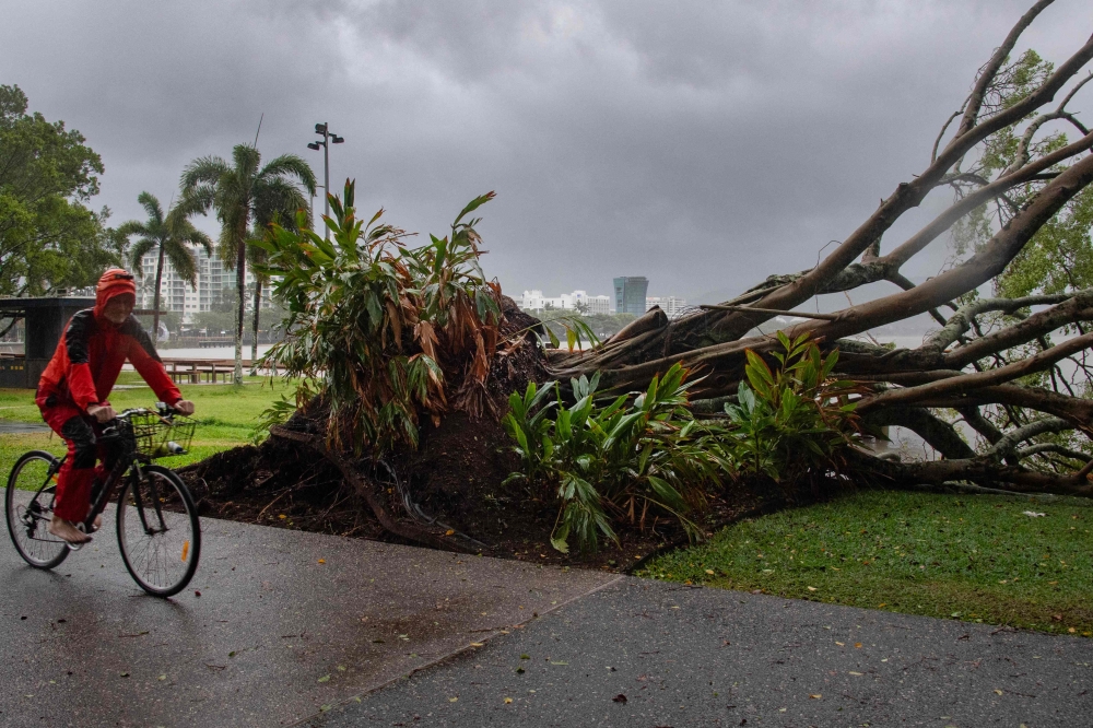 A man cycles past a downed tree as inclement weather from Cyclone Jasper impacts Cairns in far north Queensland on December 13, 2023. — AFP pic