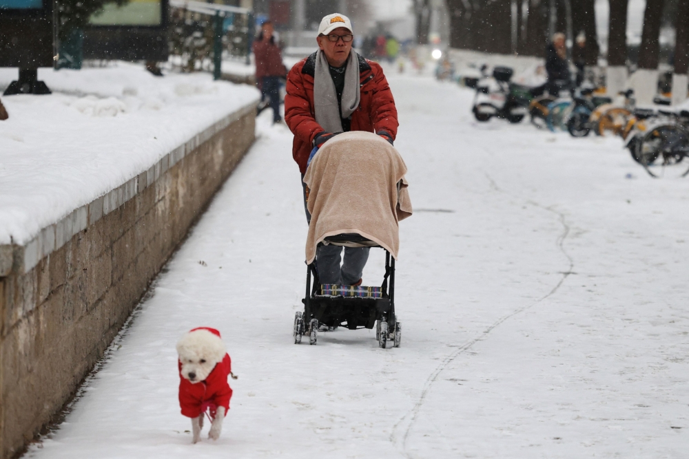 A man pushes a trolley as he walks next to his dog amid snowfall in Beijing December 14, 2023. — Reuters pic 