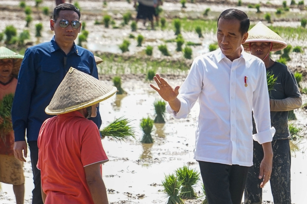 Indonesian President Joko Widodo greets a farmer at the paddy field area in Pekalongan, Central Java province, Indonesia, December 13, 2023. — Antara Foto/Harviyan Perdana Putra pic via Reuters