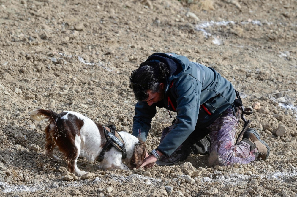 A man and his dog participate in a truffle hunting contest as part of the Truffle International Fair held in Sarrion, in the Spanish eastern province of Teruel, on December 10, 2023. — AFP pic 