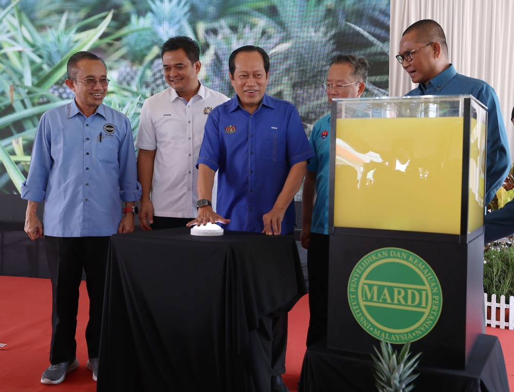 Deputy Public Works Minister and Member of Parliament for Pontian Datuk Seri Ahmad Maslan during the launch of the new hybrid sweet pineapple MS16 at the Malaysian Agricultural Research and Development Institute (MARDI), in Pontian December 17, 2023. — Bernama pic
