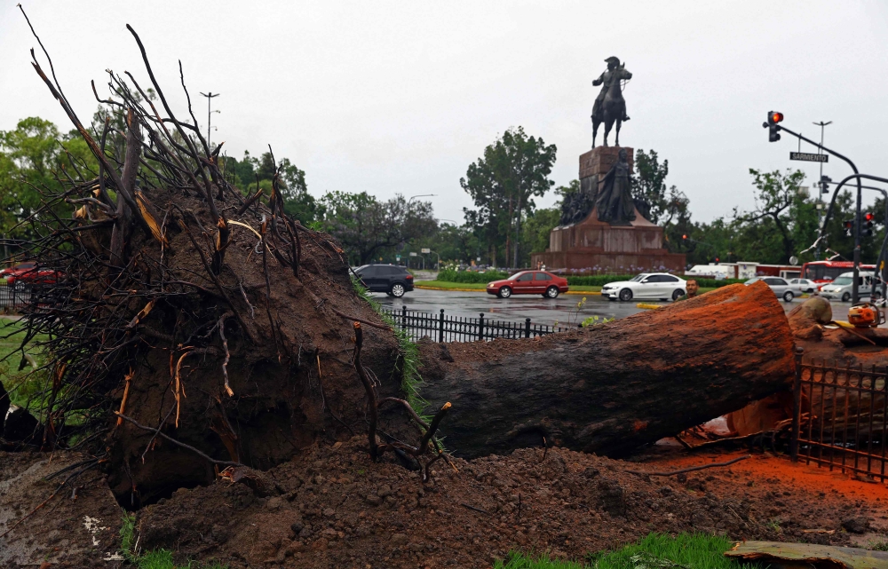 View of a fallen tree following a fierce storm that hit Buenos Aires December 17, 2023. — AFP pic