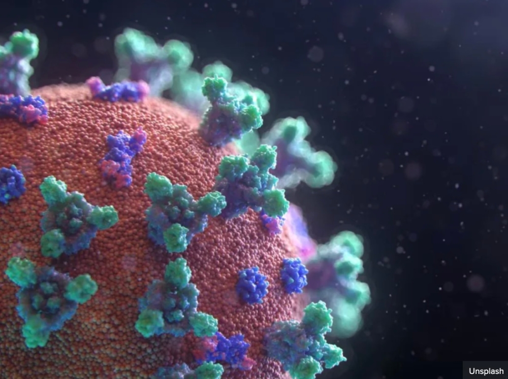 The Ministry of Health (MOH) said last Friday that Singapore recorded an estimated 56,043 Covid-19 cases in the week of Dec 3 to Dec 9, a surge of 75 per cent from the week prior. — Unsplash pic via TODAY