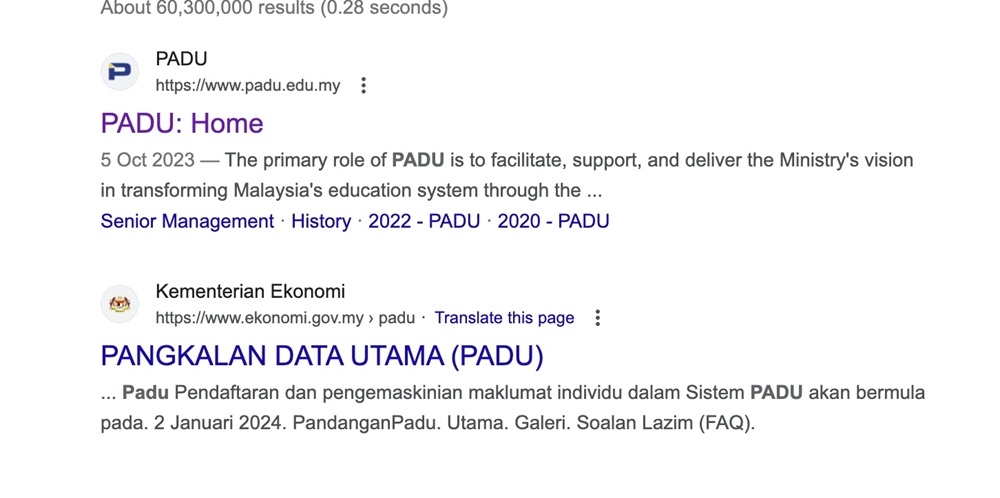 How many Padu do we need in government? Does no one in government own a thesaurus? — Screenshot by Erna Mahyuni