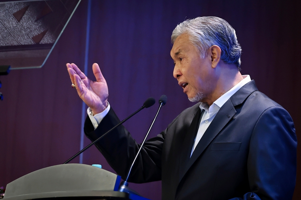 DPM Zahid: Loss-making subsidiaries of Rural and Regional Development ...