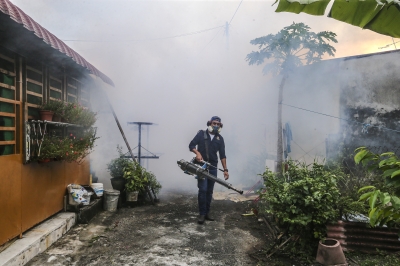 Health Dept: 11 deaths due to dengue in Sabah
