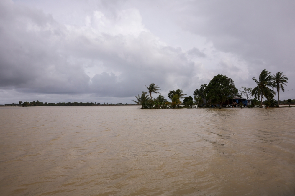 Flooded rice fields in Kampung Kurnia near Rompin, Pahang, January 9, 2024. Thunderstorms, heavy rain and strong winds are also expected to occur in Kedah (Baling, Kulim, Bandar Baharu); Penang (Seberang Perai Selatan); Perak (Kerian, Larut, Matang and Selama, Kuala Kangsar, Manjung, Kinta, Perak Tengah, Kampar, Bagan Datuk, Hilir Perak, Batang Padang, Muallim); and Pahang (Cameron Highlands, Lipis, Raub, Bentong). — Bernama pic 