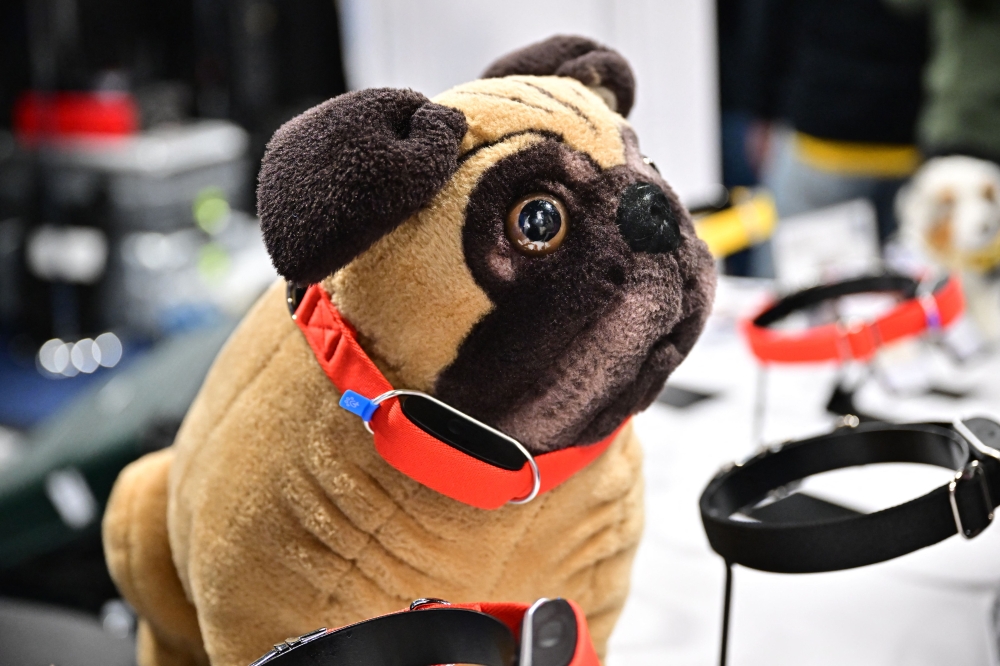 The Minitailz, a smart collar for dogs and cats from Inoxia, displayed on a stuffed toy dog during the Consumer Electronics Show (CES) Unveiled on January 7, 2024, in Las Vegas, Nevada. — AFP pic