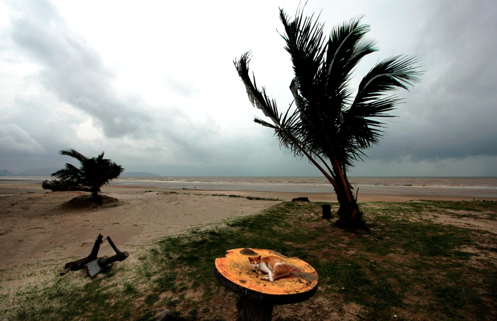 MetMalaysia warns of continuous heavy rain in several localities in Pahang and Johor which is expected to occur from today until Sunday (January 14). — Bernama pic