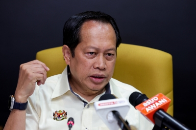 Ahmad Maslan backs proposed ‘fixed term’ Bill, says will let govt do its job without distraction