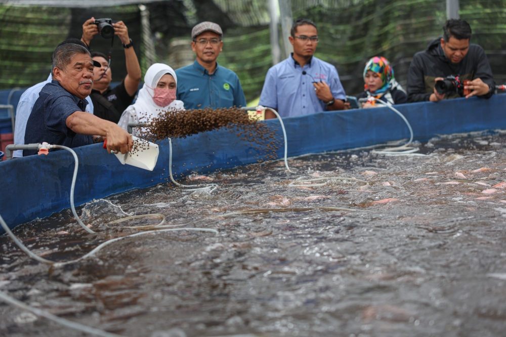 Agriculture and Food Security Minister Datuk Seri Mohamad Sabu (left) is seen during a working visit to a freshwater fishpond at the ARC Berkat Agrofood Sdn Bhd in Rawang January 21, 2024. — Bernama pic