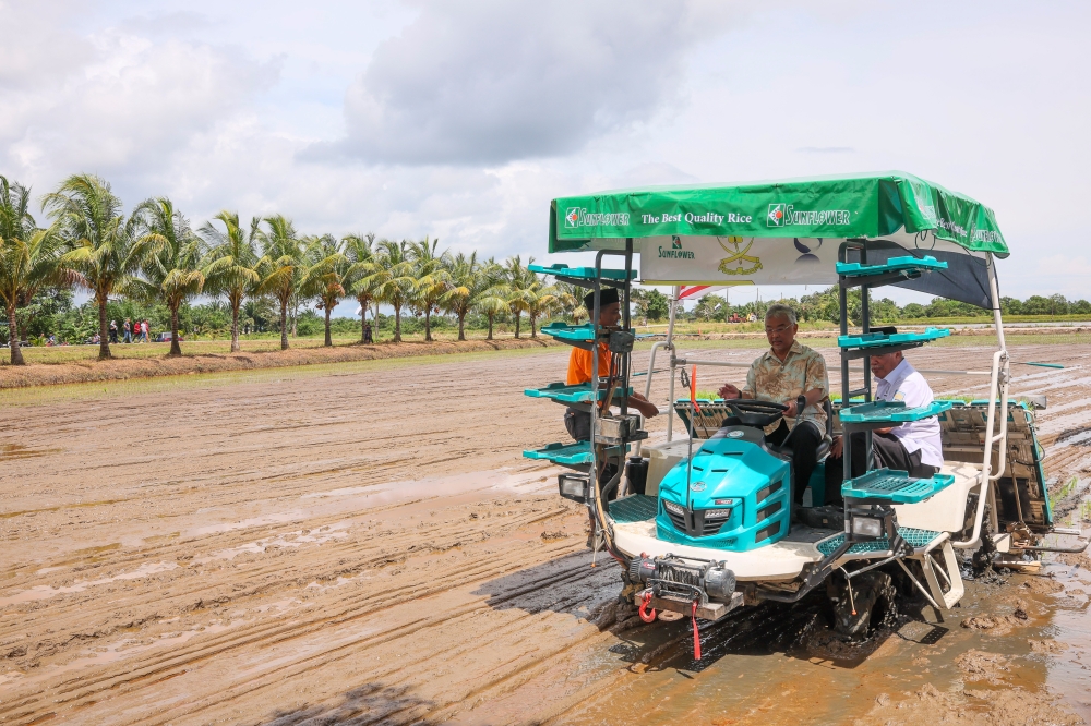 Yang di-Pertuan Agong Al-Sultan Abdullah Ri’ayatuddin Al-Mustafa Billah Shah and Agriculture and Food Securities minister Datuk Seri Mohamad Sabu are seen during the opening ceremony of the Large-Scale Smart Paddy Fields (SMART SBB) Ala Sekinchan at the Permatang Durian Water User Group, Merchong Scheme in Pekan January 22, 2024. — Bernama pic