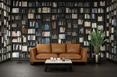 ‘Bookshelf wealth’ is an interior aesthetic that elevates your reading material (VIDEO)
