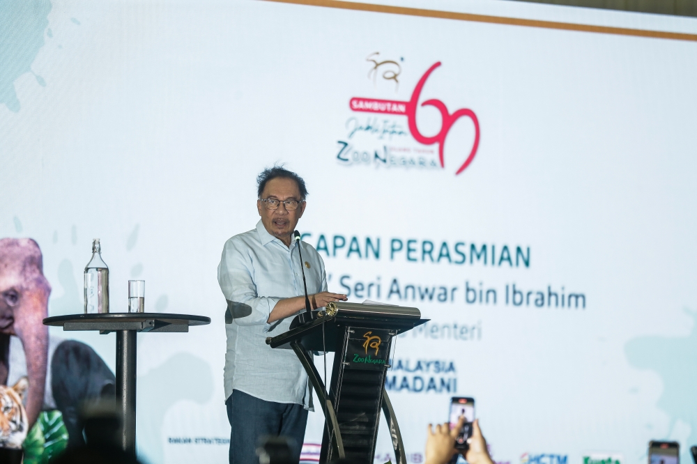 PM Anwar: Malaysia stands with Palestine, welcomes ICJ decision on ...