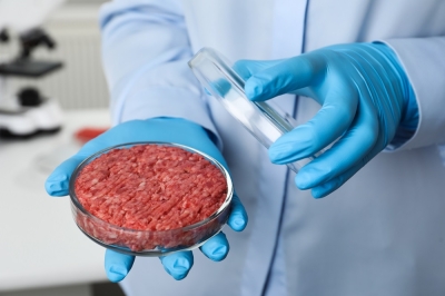 ‘Culinary alliance’ in EU wants debate on lab-grown meat