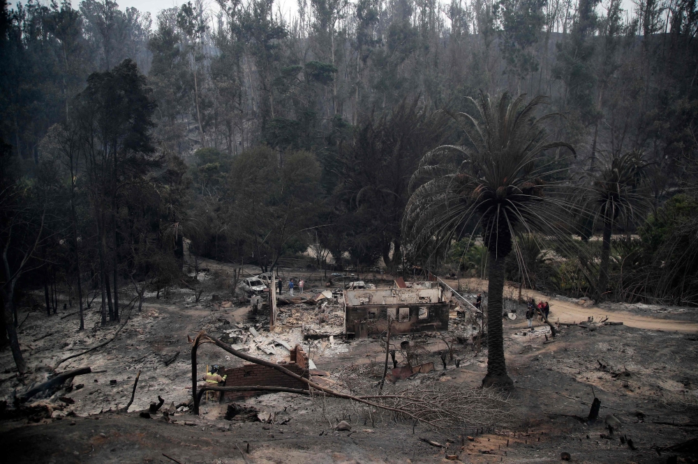 View of the Botanical Garden after a forest fire in Vina del Mar, Chile, taken on February 4, 2024. — AFP pic