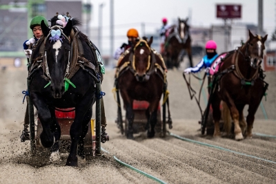 ‘Suspense’ of slowest horse race wins new fans in Japan
