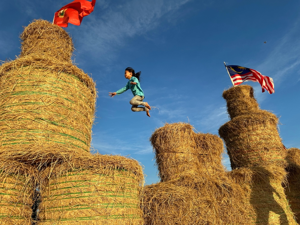 Aisya Humairah Muhammad Samsul Afendi, 8, jumps on bales of hay at the Jerami and Wau Festival in Kampung Benua, Alor Setar, February 16, 2024. — Bernama pic 