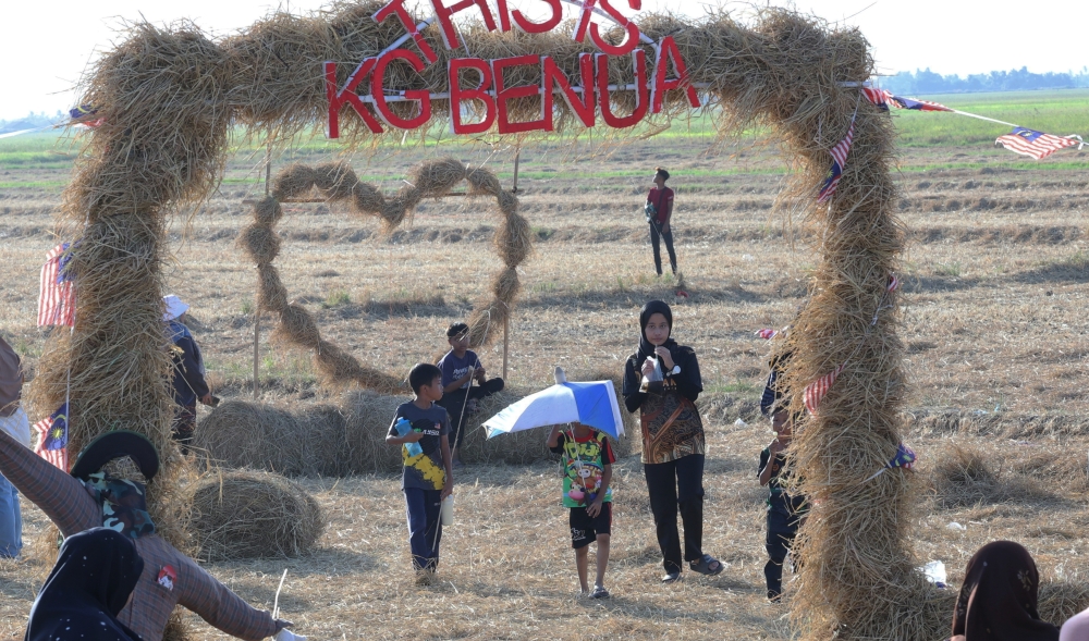 The beauty of the view of paddy fields, rolled straw and dozens of kites being flown, is one of the new tourist attractions in Kampung Benua, Simpang Empat, in conjunction with this school holiday. — Bernama pic 
