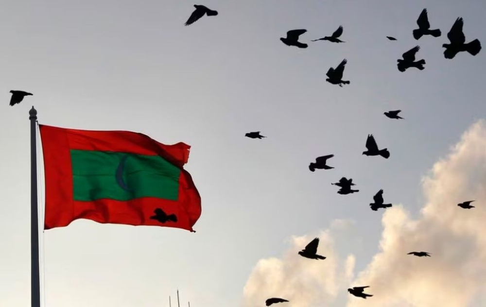A Maldives national flag flutters as pigeons fly past during the morning in Male February 8, 2012. — Reuters pic