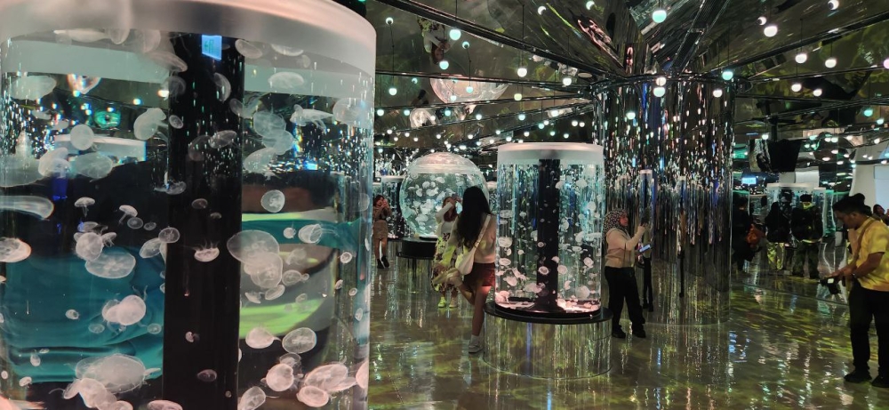 The Jellyfish Healing Room at the Taoyuan Xpark. — Picture by Arif Zikri 