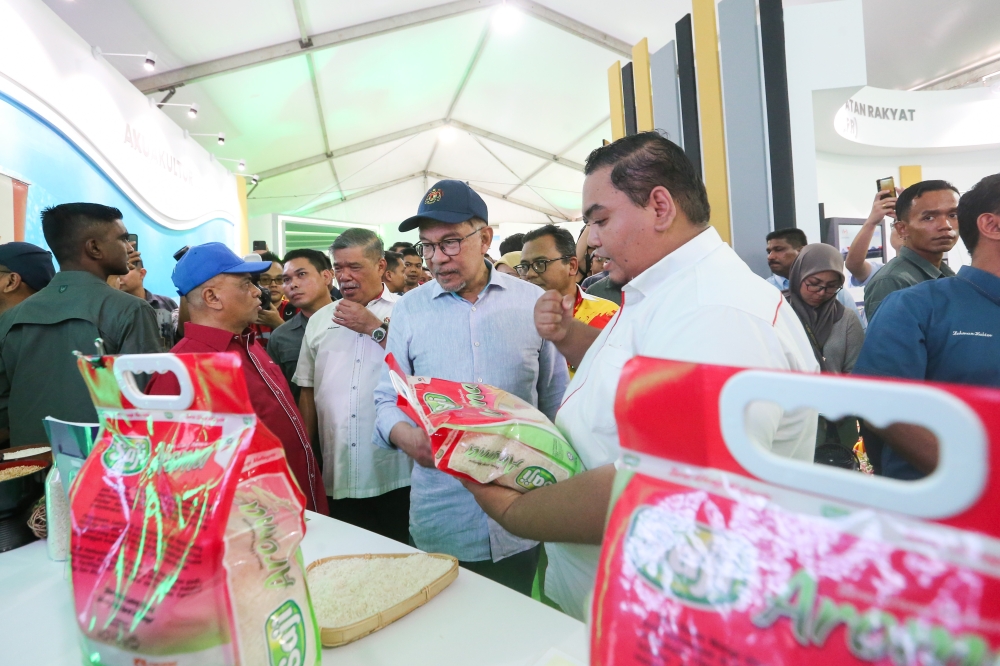 As prices bite, Anwar says Putrajaya to develop urban farming scheme ...