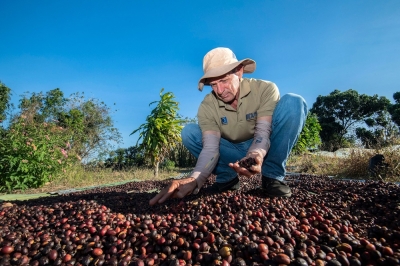 Costa Rica coffee farmers innovate as rainfall plummets