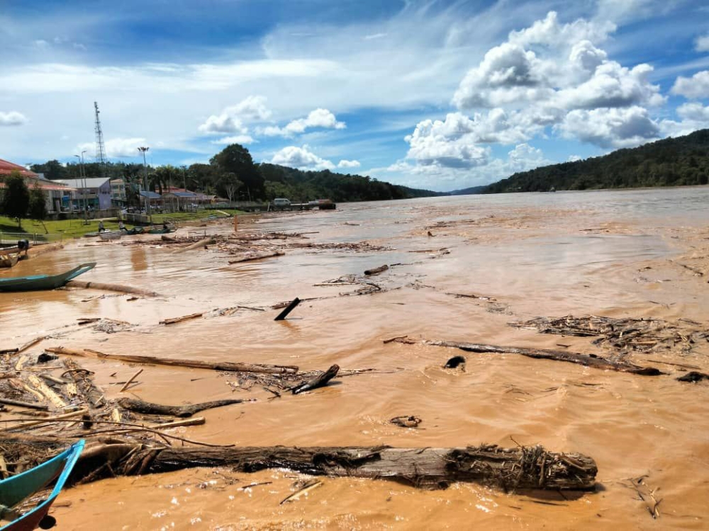Clogging Rivers After wooden debris clog rivers, Katibas rep demands authorities act on ...