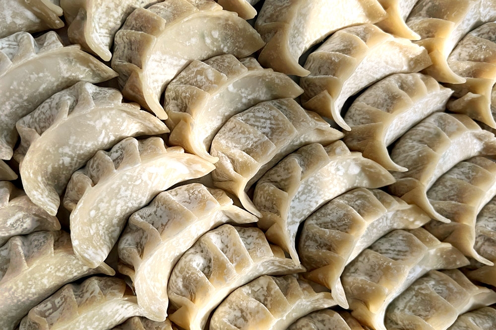 Freshly-made gyozas, ready to be boiled or fried.