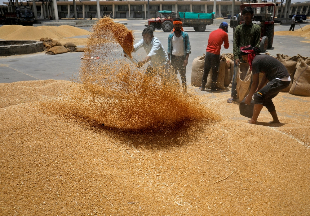 Workers sift wheat before filling in sacks at the market yard of the Agriculture Product Marketing Committee (APMC) on the outskirts of Ahmedabad, India, May 16, 2022. — Reuters pic  