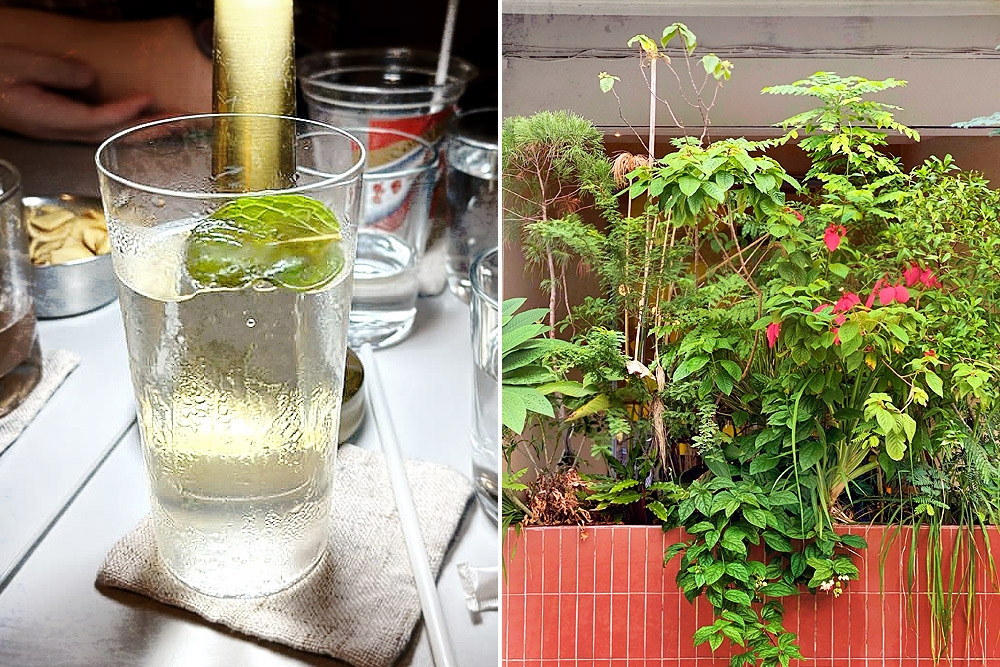 The mint leaf in the Clarity Zero is echoed in the plant box at the café entrance.