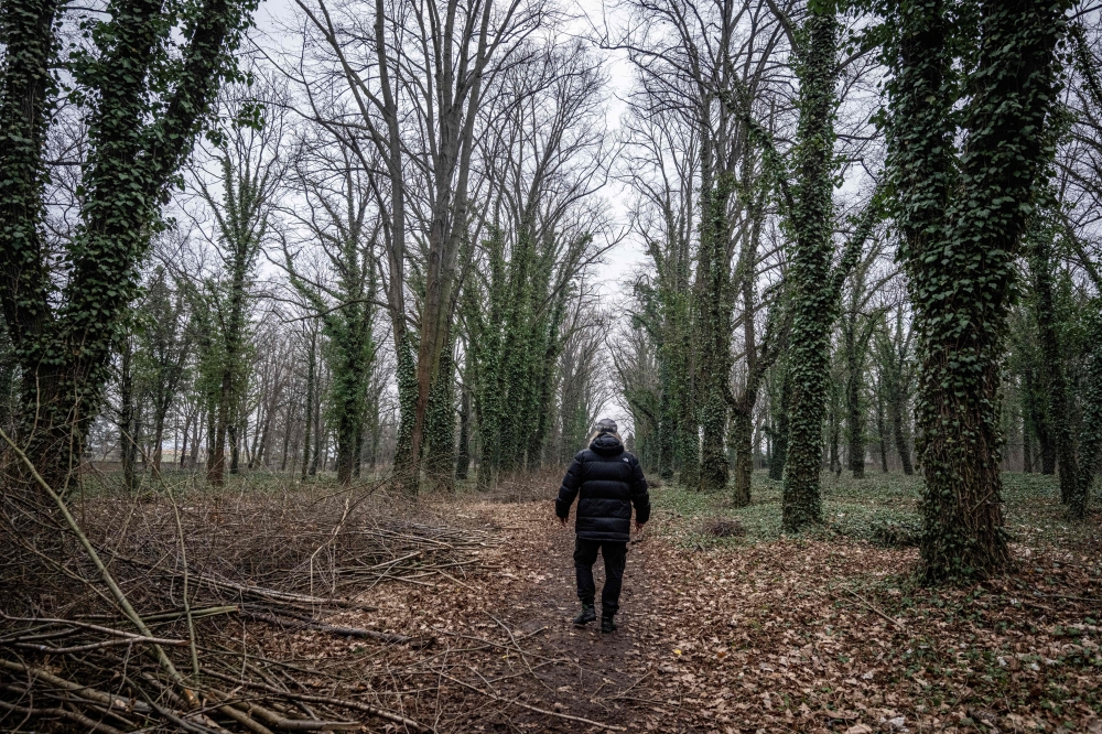 Jiri Vitek, a voluntary caretaker of the cemetery, walks across the so-called  'lunatic graveyard' near Bohnice mental hospital in Prague, on March 7, 2024. — AFP pic