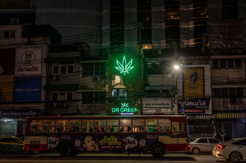 A bus drives past the neon sign of a cannabis shop in Bangkok, Thailand, August 18, 2023. — Reuters pic