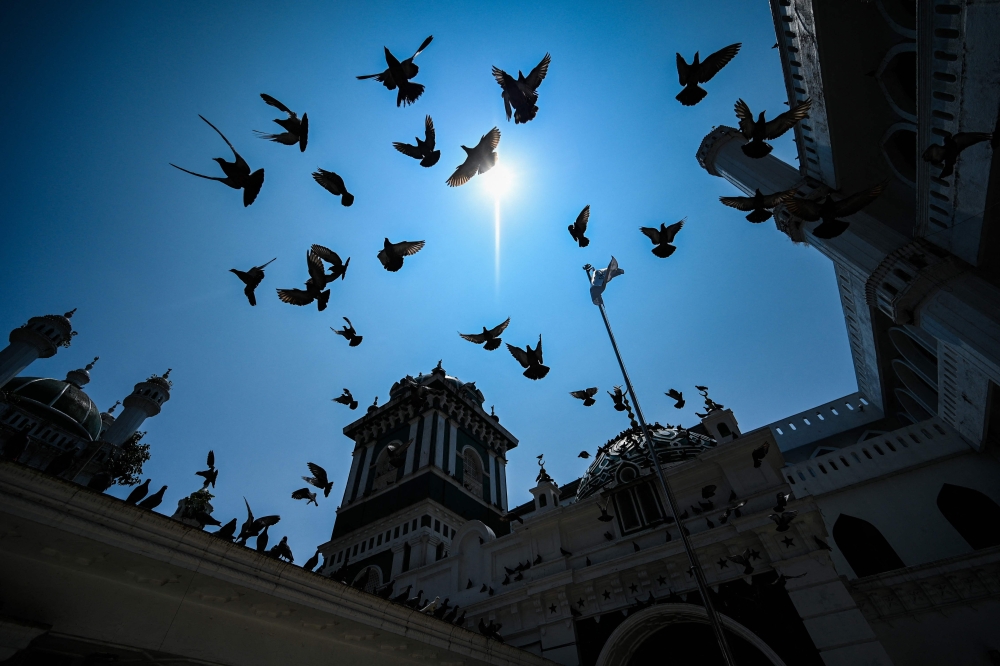 A flock of pigeons fly outside the Dawatagaha Jumma mosque in Colombo on March 15, 2024. — AFP pic