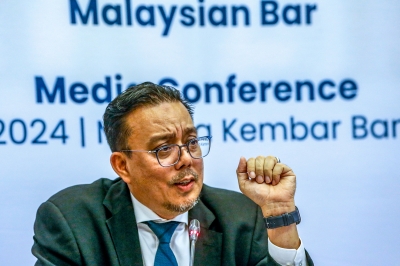 在年度股东大会上，马来西亚律师协会同意在法庭上质疑赦免委员会在纳吉案件中的决定