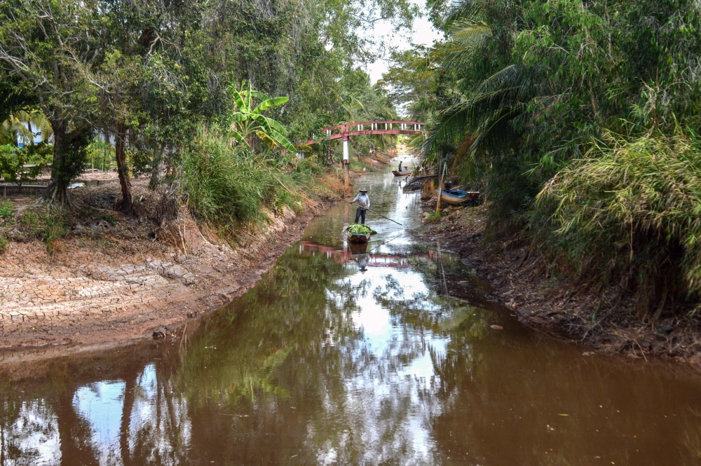This photo taken on February 23, 2024 shows a farmer rowing a boat carrying bananas along an almost dried up canal amid a long heatwave in southern Vietnam’s Ca Mau province in the Mekong Delta region, known as ‘Vietnam’s rice bowl’. — AFP pic 