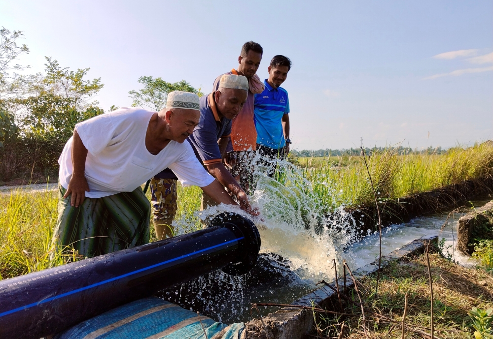Some of the farmers in the rice growing area of Kampung Alor Bakat looked happy after the cultivated paddy fields received water supply through pumps provided by the Kemubu Agricultural Development Authority   in Bachok March 20, 2024. — Bernama pic