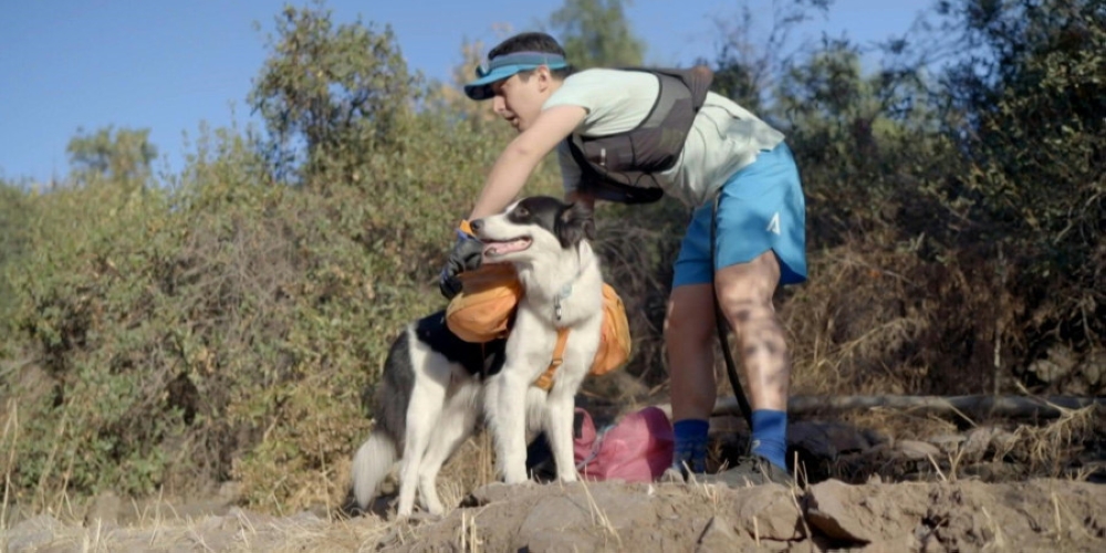 En Chile, un abogado y su perro 'bloquean' para concienciar sobre el reciclaje