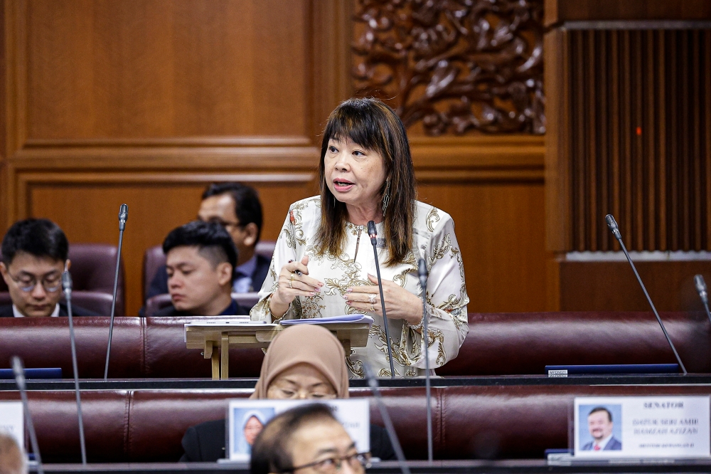 On the distribution method of the Sara aid in the peninsula, Deputy Finance Minister Lim Hui Ying said eligible households and senior citizens without spouses will receive RM100 every month, while single individuals will get RM50. — Bernama pic 