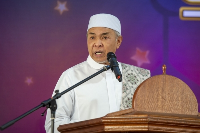 DPM Zahid: Anti-establishment groups must be curbed before they become burdensome ‘biawak hidup’