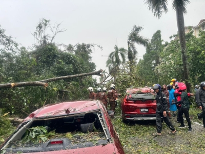 Fire and Rescue Dept: In KL, 16 cars, three houses damaged due to falling trees during thunderstorm 