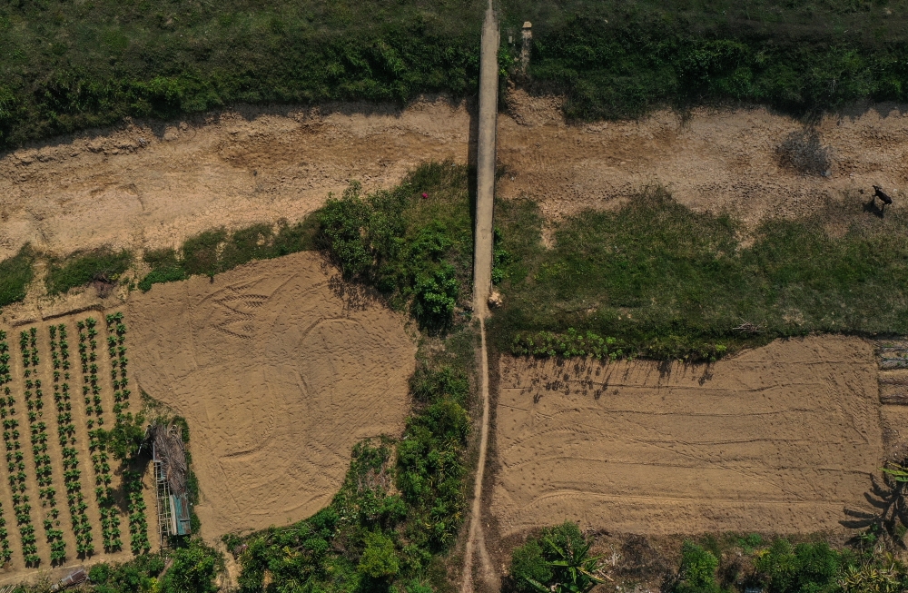 The irrigation water channels around Ketereh’s paddy fields in Kelantan are dry due to a shortage of water supply caused by the ongoing drought season, March 28, 2024. — Bernama pic 