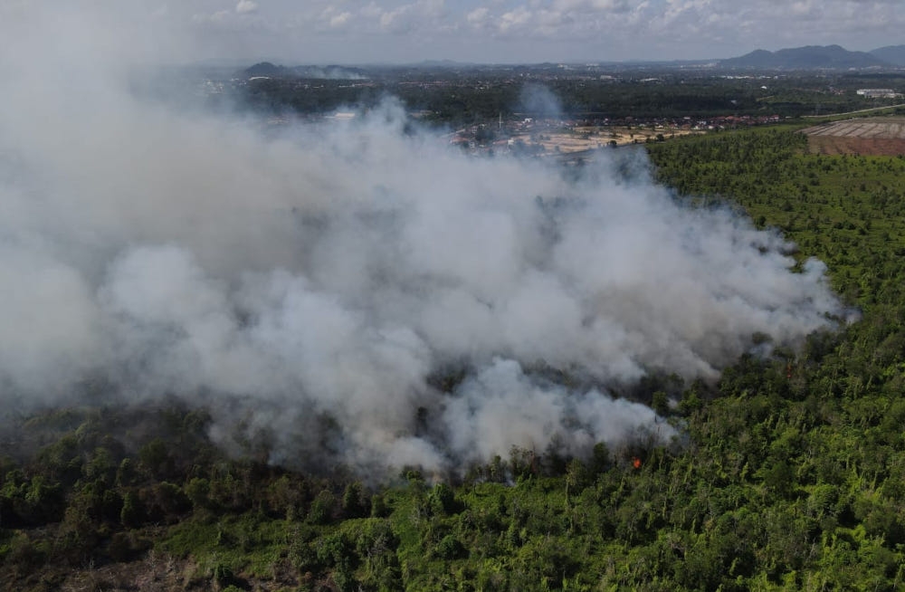 A Pahang Fire and Rescue Department spokesman said personnel from the Taman Tas Fire and Rescue Station, with assistance from the Maran and Peramu fire stations, arrived at the scene at 9.08am to extinguish the peat soil forest fire. — Picture from Facebook/Bomba & Penyelamat Negeri Pahang