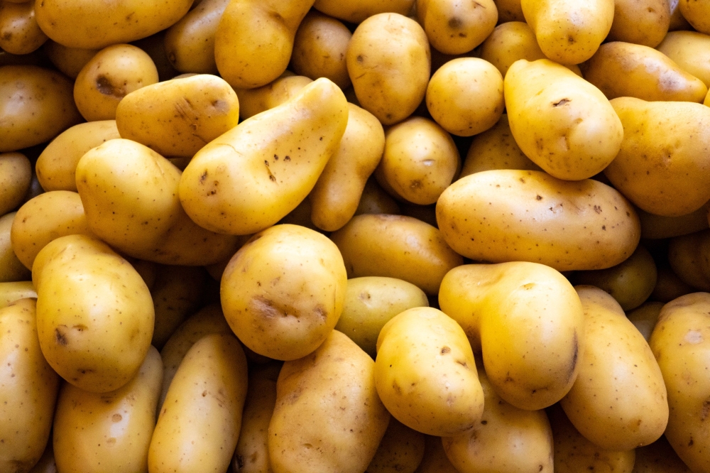 When is a vegetable not a vegetable? When it’s a potato, according to a new US government proposal to reclassify the starchy staple. — ETX Studio pic