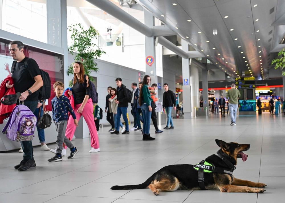 Passengers walk by to 10 years-old German shepherd Sonya, a dog specialized on drugs sniffing, at the Henri Coanda International Airport in Otopeni, Romania, on March 28, 2024, as part of the random passport checkings in the waiting area made by the Romanian border police with dogs. Romania and Bulgaria will join on Sunday, March 31, 2024 Europe's passport- and visa-free Schengen Area, applying only to travelers arriving by air and sea. — AFP pic