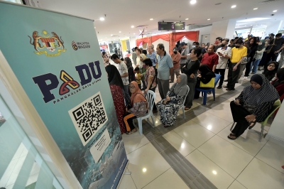 Rafizi: 17.65 million citizens' profiles updated on Padu system - Vimarsana News